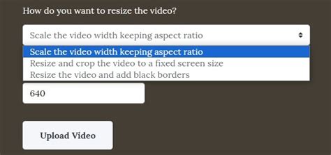 Full Tutorial: How to Resize Video on PC/Mobile/Online