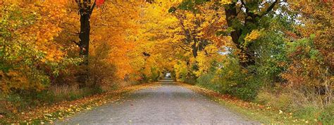 Pat Boyle Funeral Home and Cremation Service | Jane Lew,