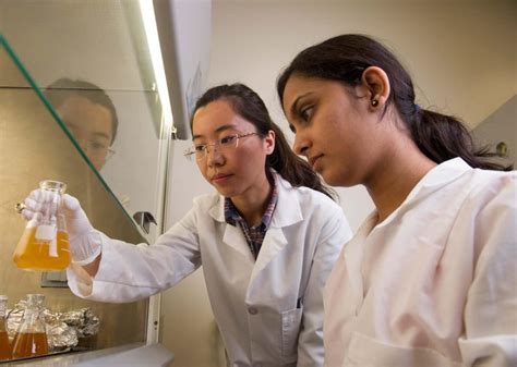 Southern Illinois University Edwardsville, USA - Ranking, Reviews ...