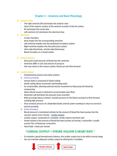 Image result for Chapter 1 Study Guide