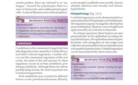 Buy Manual Of Oral Histology And Oral Pathology Color Atlas And Text ...