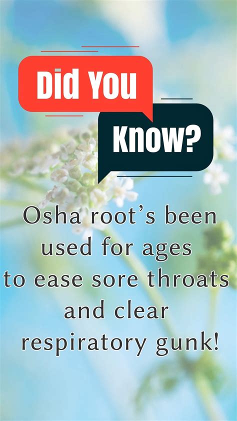 Zapper Throat Spray (@zapperts) • Instagram photos and videos