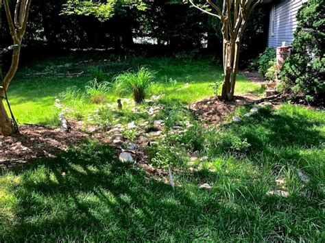 Native Plant Landscape Design 的图像结果