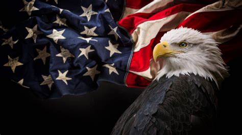 Download Military American Flag With Eagle Wallpaper | Wallpapers.com