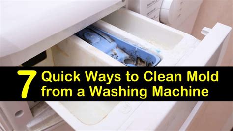 Image result for How Do You Remove Mold and Mildew From Front Loading Washing Machine