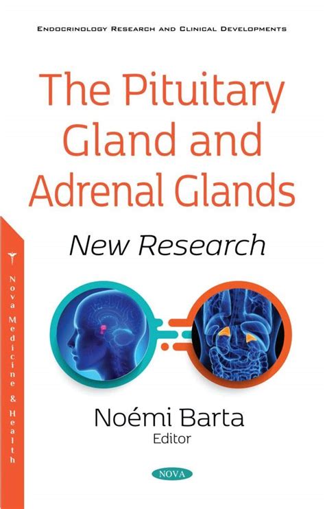 Buy The Pituitary Gland and Adrenal Glands: New Research Book Online at ...