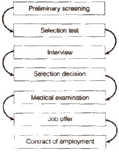 Staffing ncert solution class 12 Business Studies