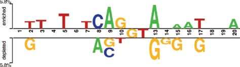 Two Sample Logo 的图像结果