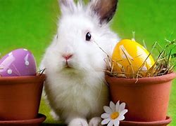 Image result for Happy Bunny Clip Art