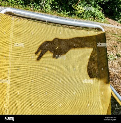Rabbit shadow puppet hi-res stock photography and images - Alamy