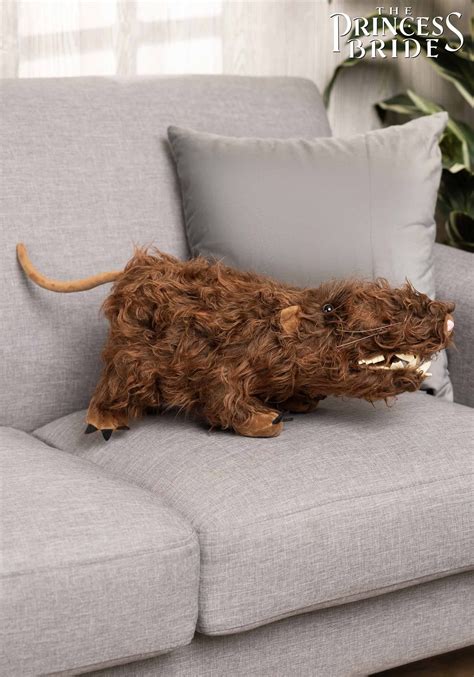 Image result for The Princess Bride Rodents of Unusual Size