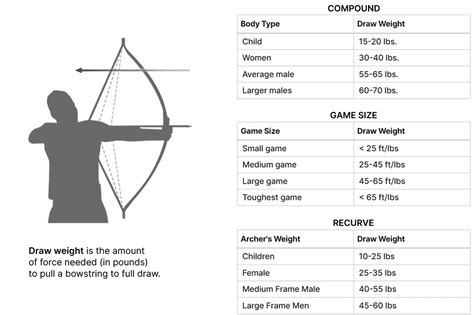 Image result for Compound Bow Arrow Chart