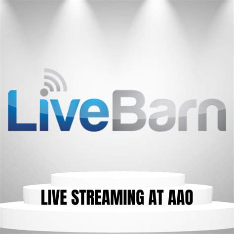 Arkansas Athletes Outreach (AAO)