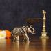 Pure Brass Intricately Carved Small Elephant Oil Lamp diya 3 ...