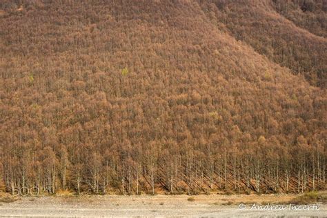 Image result for Basic Null Texture