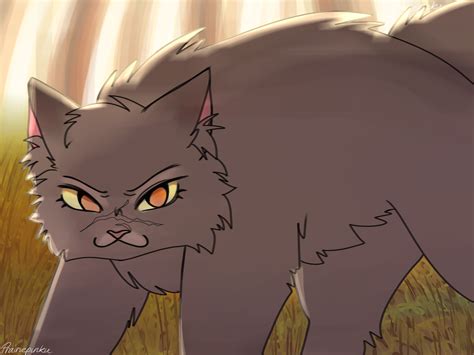 76 yellowfang ideas to save today | warrior cats, warrior cat, warrior ...