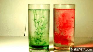 Diffusion Using Food Coloring 的图像结果