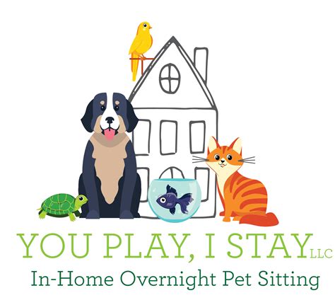 How Much Should I Pay A Dog Sitter Who Stays Overnight