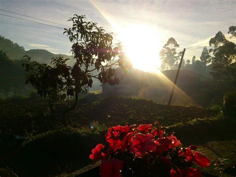 SRIYA PAYA VILLA (Nuwara Eliya) - Hotel Reviews & Photos - Tripadvisor