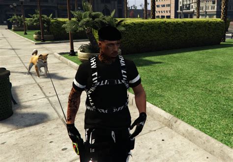 Image result for Cdev Pets