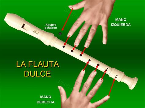 Image result for Tutorial Como Tocar Flauta