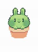 Image result for Angel Baby Bunny Plant