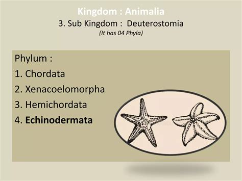 Taxonomy of Living and Non Living Organism :A brief Discussion | PPTX | Biological Sciences ...