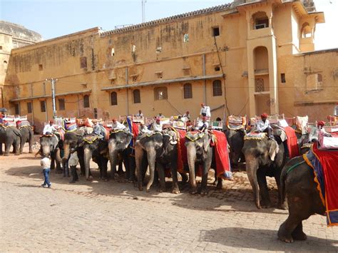 TRAVELOGY INDIA (2026) All You Need to Know BEFORE You Go (with Photos ...