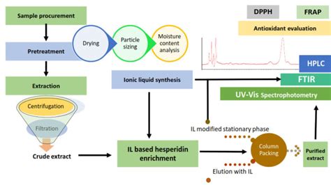 Creative Scientific Graphical Abstract 的图像结果