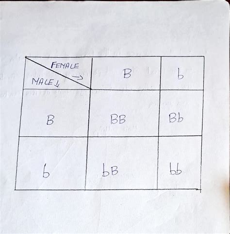 Can two people with brown eyes have a blue eyed baby? explain. (3 ...