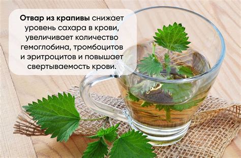 Лучшие рецепты травяных чаев от кашля