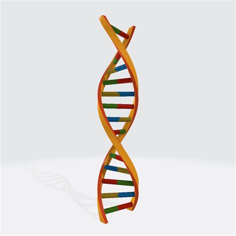 DNA 3D Model Free Download - Get 3D Models
