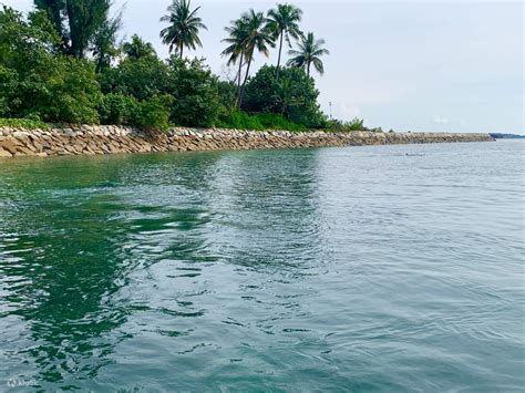Singapore Western Islands Speedboat Tour - Klook Россия