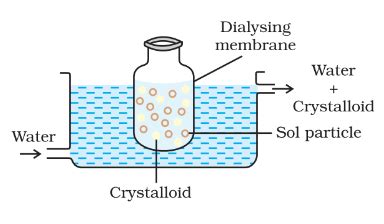 Preparation & Purification Of Colloidal Solutions MCQ - Practice ...