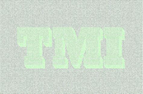 Image result for TMI Mod Tutorial