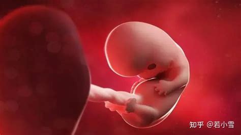 孕妈注意：孕期这几种行为会导致宫缩_孕妇的哪些行为会导致宫缩 - 育儿指南