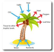 Different Types of Environmental Science 的图像结果