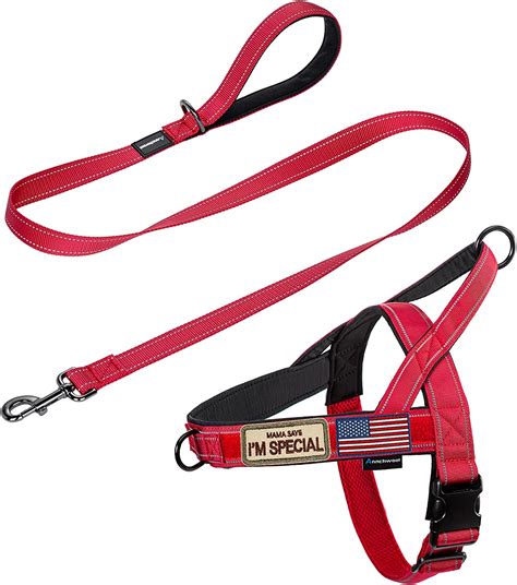 Amazon.com : Annchwool No Pull Dog Harness with Padded Handle+5 Ft ...