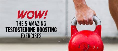 Wow! The 5 Amazing Testosterone Boosting Exercises - CrazyBulk.in