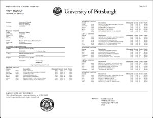 Russian Universities | Study in Russia 2025