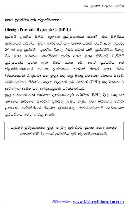 ප්රhධාන වකුගඩු රෝගාබාධ | Major Kidney Diseases in Sinhala