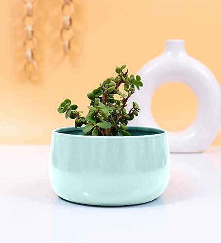 The Craft Store Resin Deer Planter Pot Mini Indoor Planter, 12.5 x 13 ...