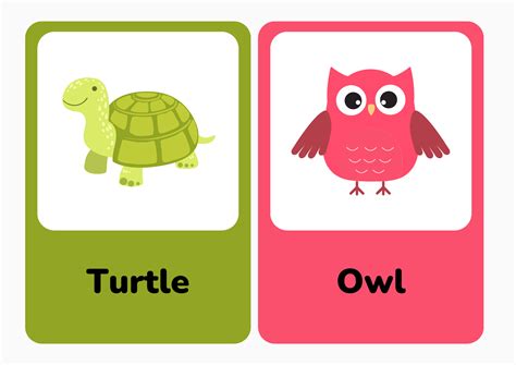 Teaching Materials - Turtle and Owl Graphic by 57creative · Creative ...