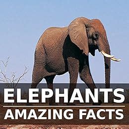 Children's Books: Elephant Books for Kids: [Elephants Amazing Facts ...