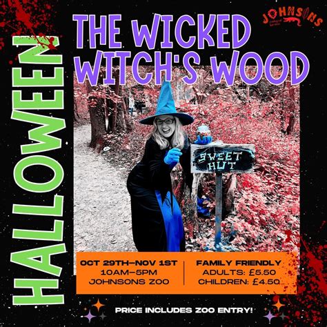 The Wicked Witch’s Wood | Halloween at Johnsons , Johnsons of Old Hurst ...