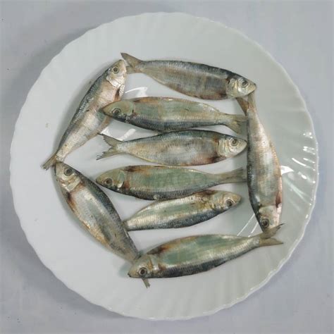 AL-HAQQ Sardine | Chala | Mathi Dry Fish Whole Price in India - Buy AL ...