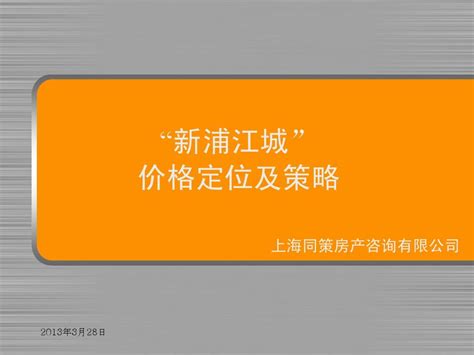 同策—上海新浦江城价格定位及策略-50PPT_word文档在线阅读与下载_无忧文档