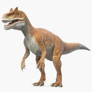 Allosaurus Yellow Coloring Rigged for Maya 3D | 3D Molier International