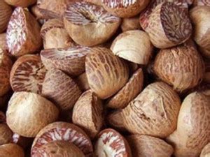 rimi Betel Nut/Supari Plant Price in India - Buy rimi Betel Nut/Supari ...