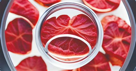 Image result for Lab-Grown Process